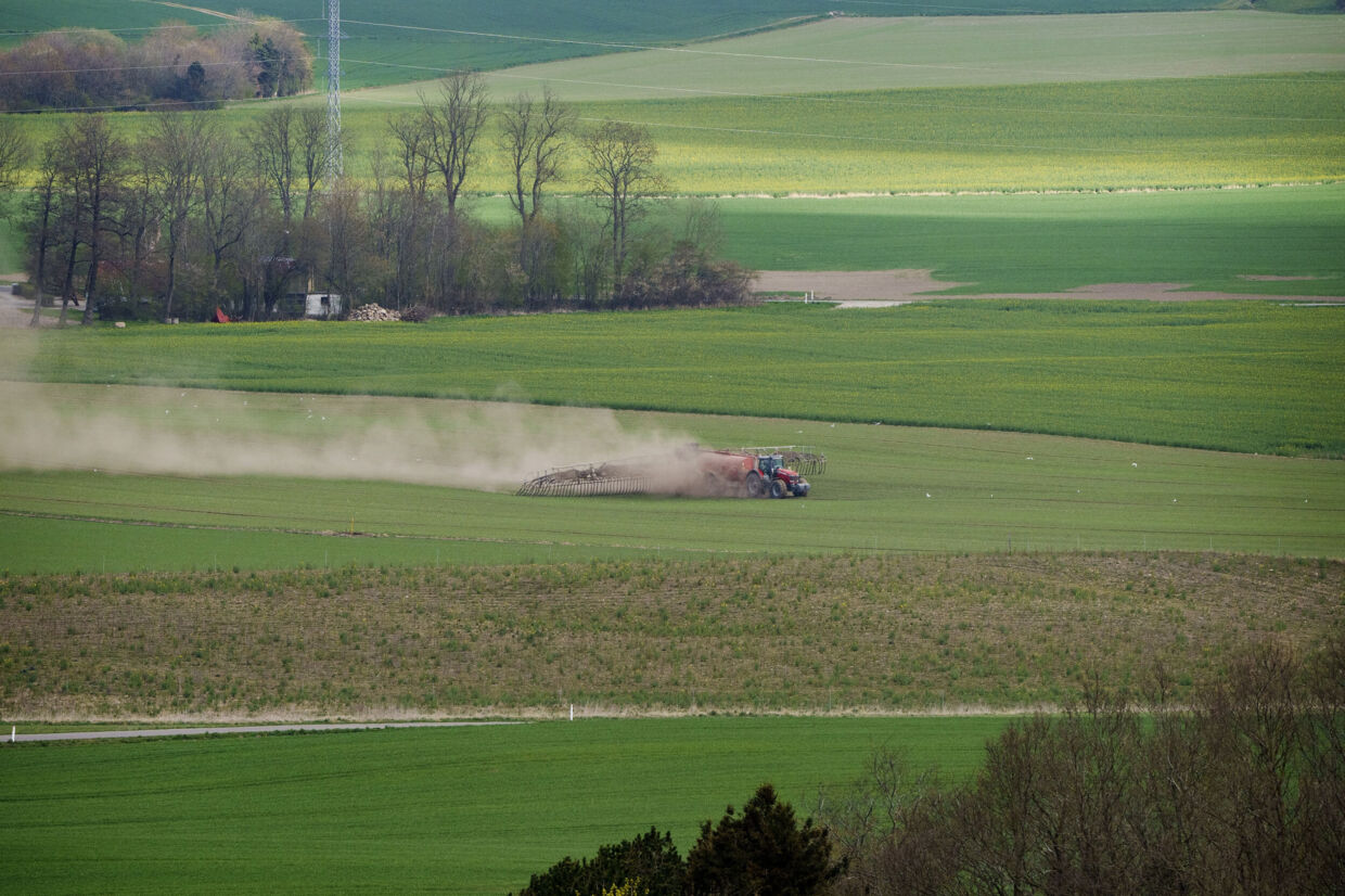 Det er lovligt for landmænd at bruge PFAS-pesticider på deres marker. Flere eksperter er dog bekymrede over brugen, fordi de frygter konsekvenserne. Det skriver Ingeniøren. (Arkivfoto). Bo Amstrup / Ritzau Scanpix/Ritzau Scanpix