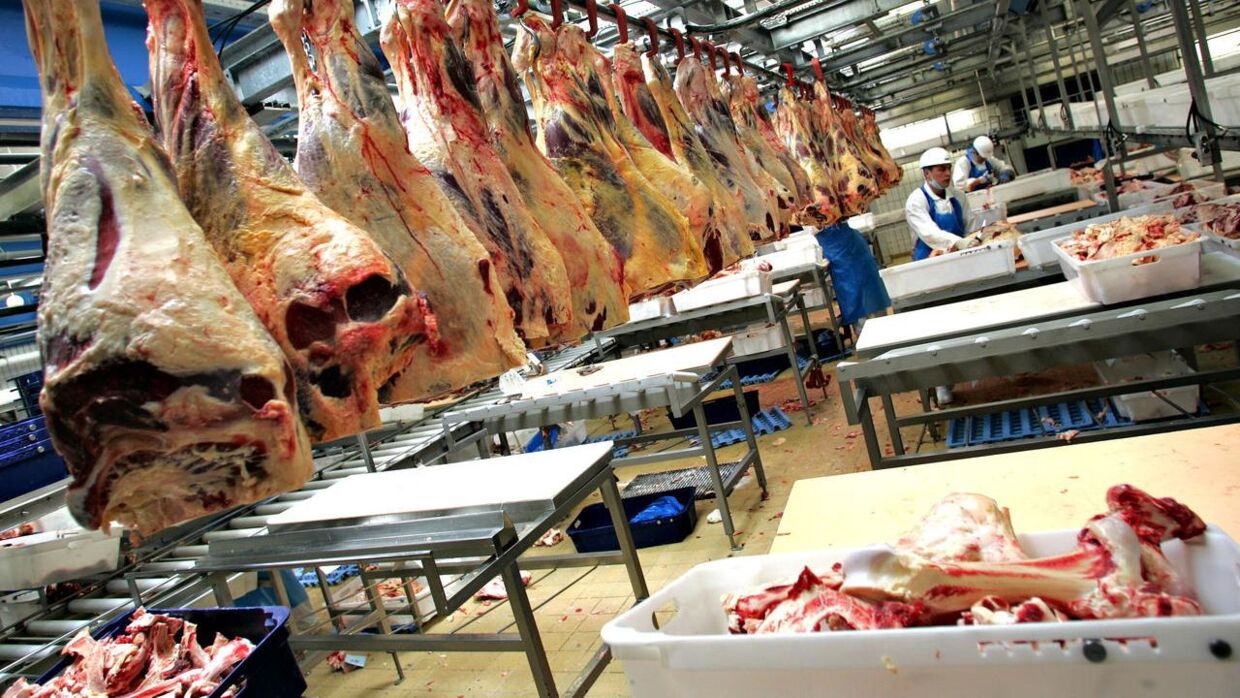 Skare Meat Packers i Vejen gik konkurs, efter at det blev ramt af bekyldninger om fusk med datoerne på kød.