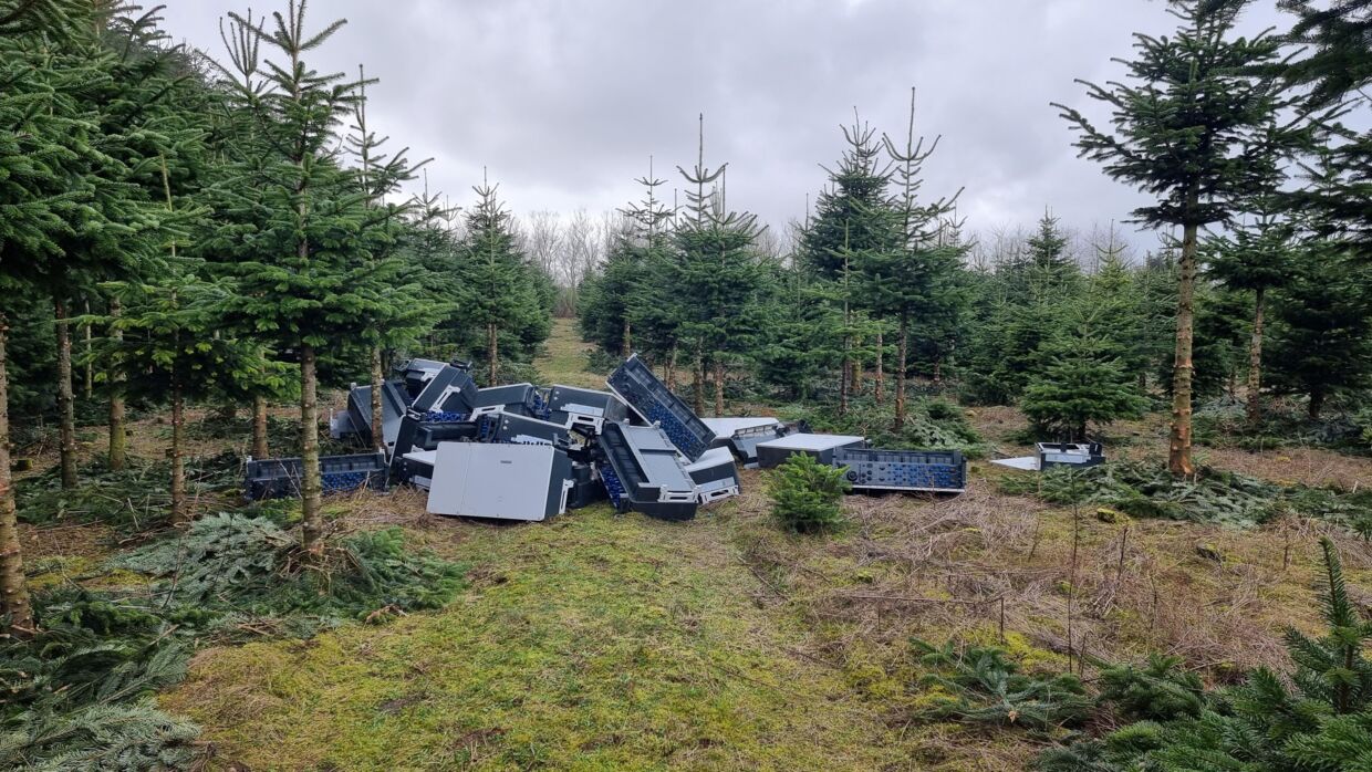 Hvem har smidt tyvekoster til omkring en million kroner i en sønderjysk skov? 