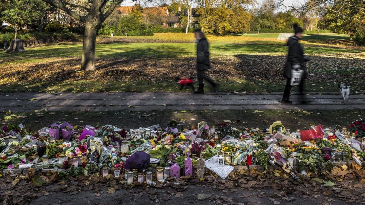 På billedet ses Elverparken i Herlev, den 8. november 2016. Det var her, drabet på den gravide Louise Borglit skete.&nbsp;