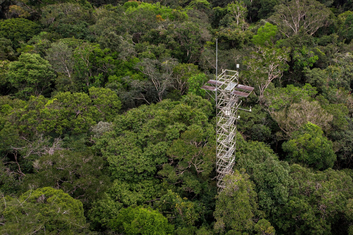 Tårne som dette er en del af projektet, der skal tilføre CO2 til Amazonas for at teste, hvordan regnskoven reagerer på forhøjede CO2-niveauer. Ascom Mcti/Reuters