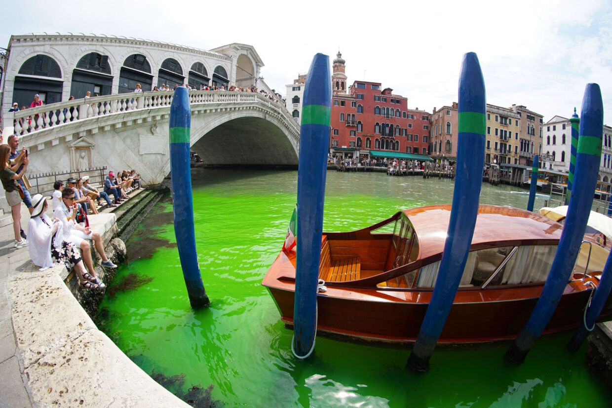 Vandet var søndag farvet lysende grønt i Canal Grande tæt ved den ikoniske Rialto-bro, der går hen over Venedigs hovedtrafikåre. Nu er mysteriet om den usædvanlige farve løst. Stringer/Ritzau Scanpix