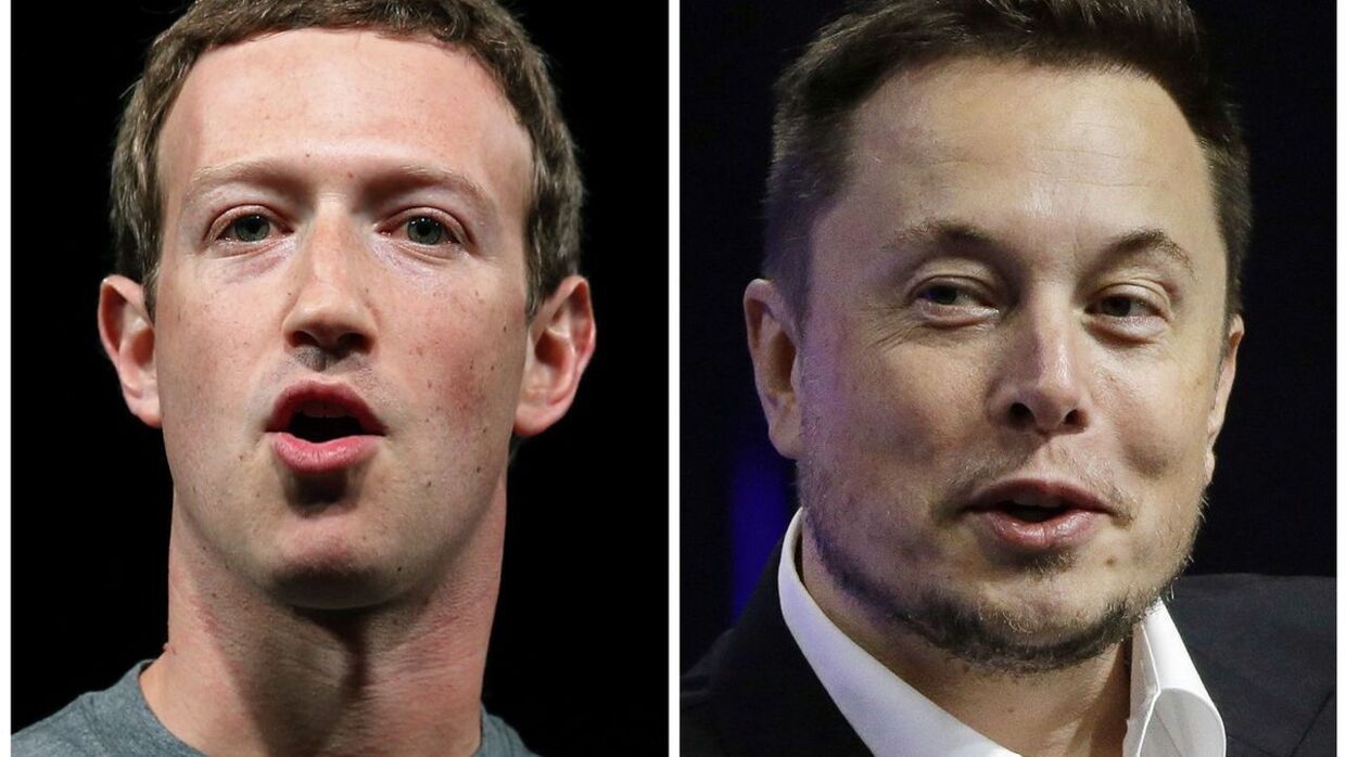 Elon Musk og Mark Zuckerberg har indgået en mundtlig aftale om en MMA-kamp.