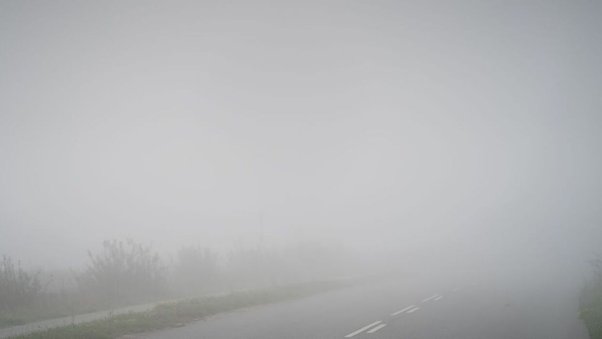 Arkivfoto af tæt tåge.