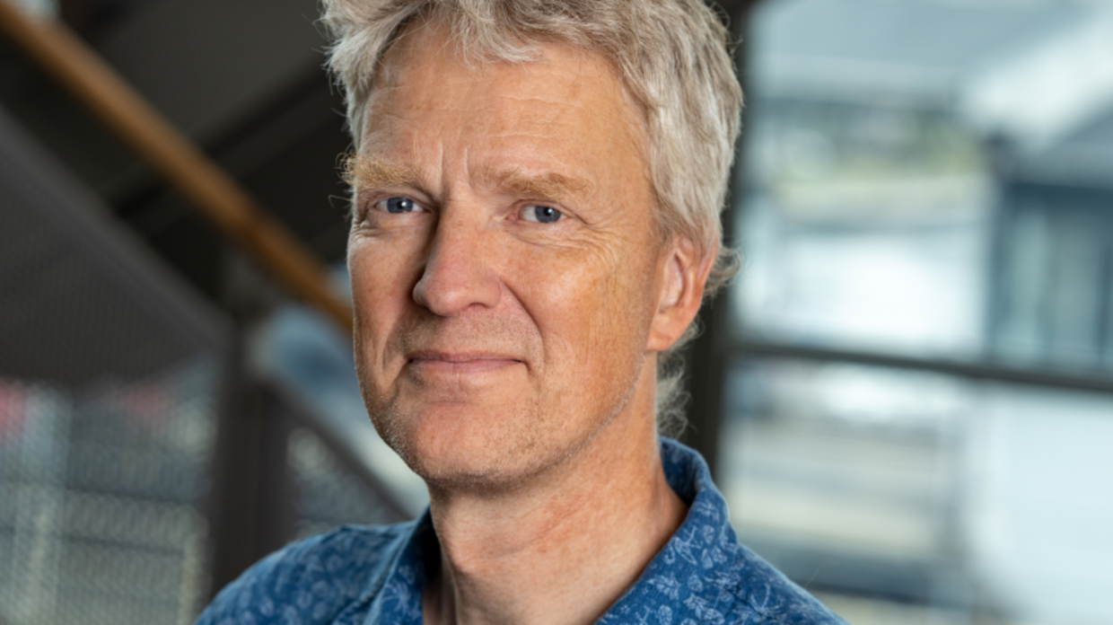 Lars Engberg-Pedersen, seniorforsker på Dansk Institut for Internationale Studier, DIIS.