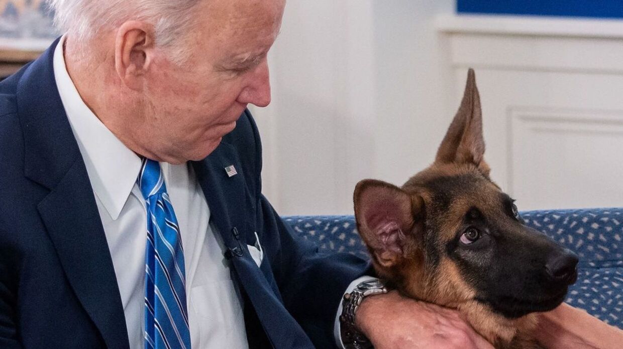 USA's præsident Joe Biden fotograferet sammen med sin hund Commander.