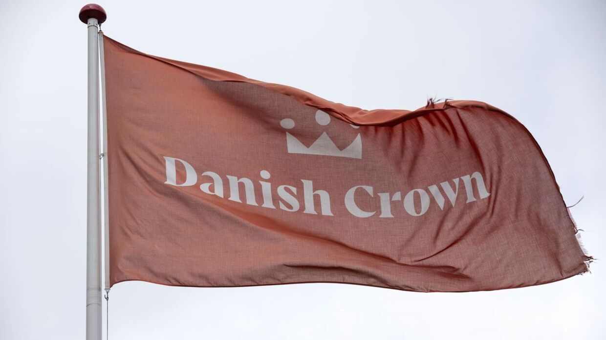 Danish Crown i Horsens mandag den 19. juni 2023.