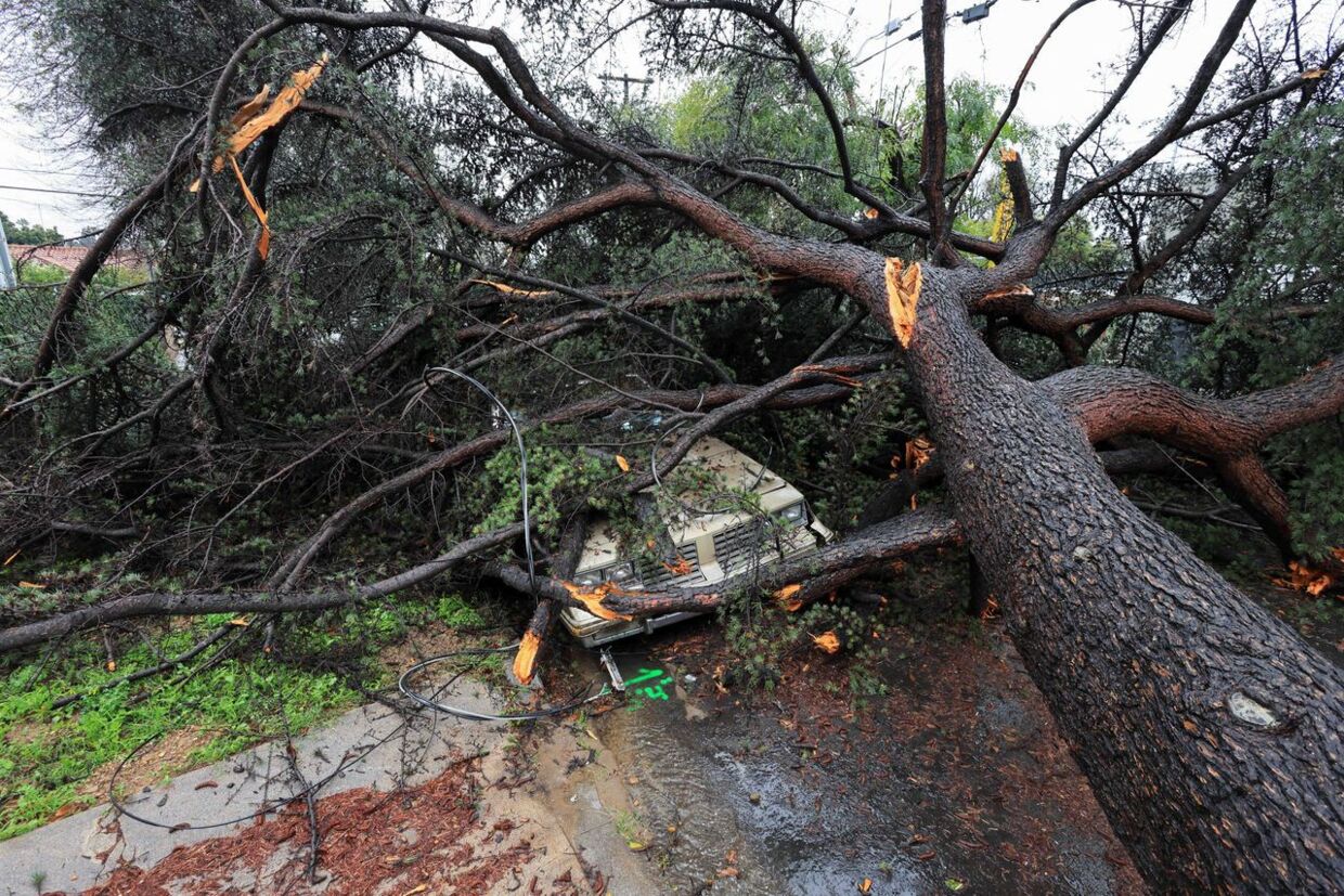 Væltede træer har også medført skader.