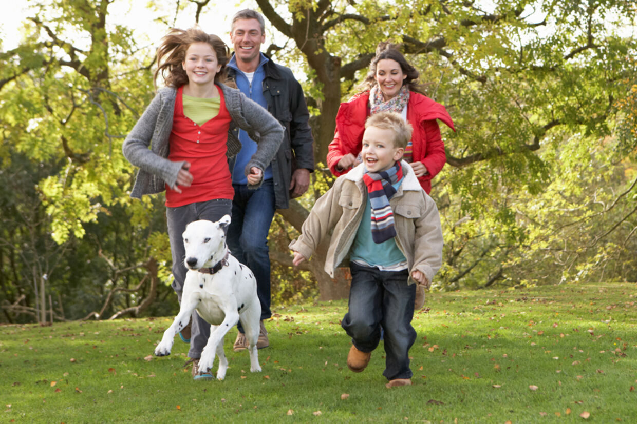 Английская семья видео. Прогулки на свежем воздухе с собакой. Гулять с собакой всей семьей. Семейные традиции гулять. Английская семья обычная.