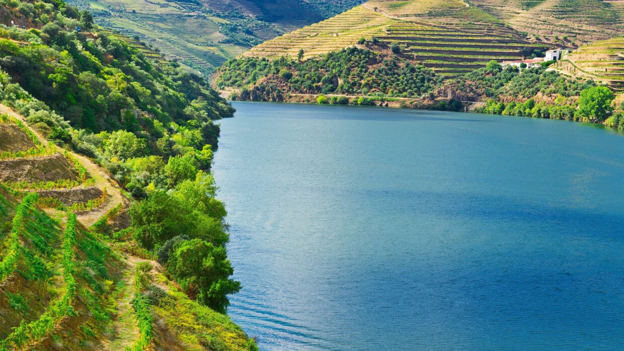 Douro-floden.