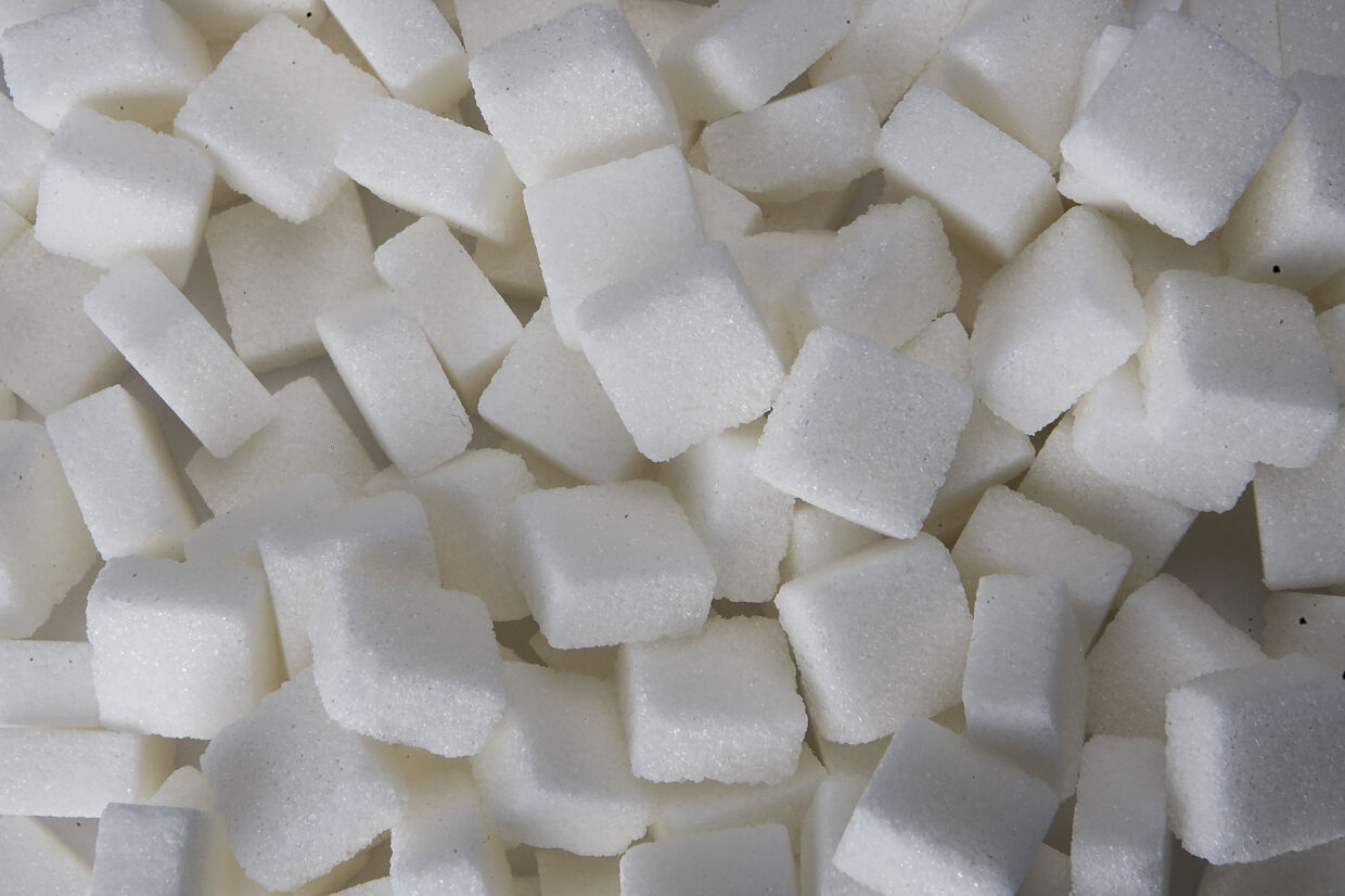 En ny undersøgelse viser, at sødemidlet sukrin kan bremse sukkersyge.