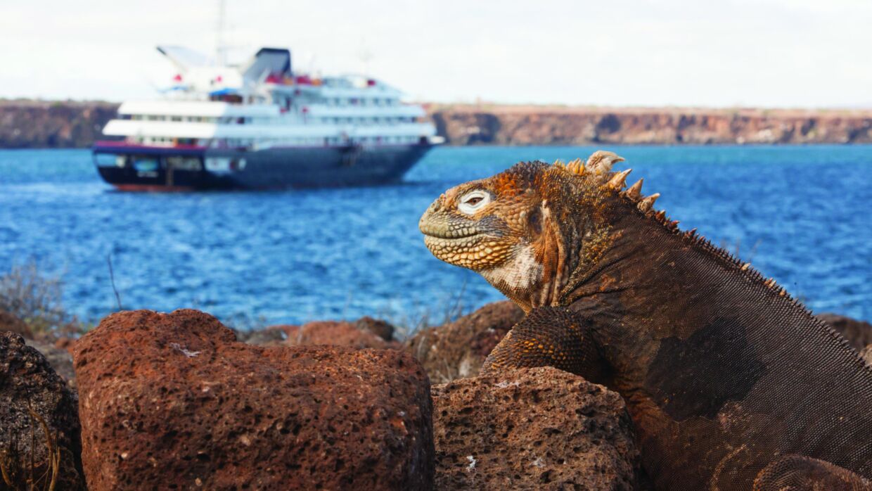 Silversea Cruises - Galapagos.