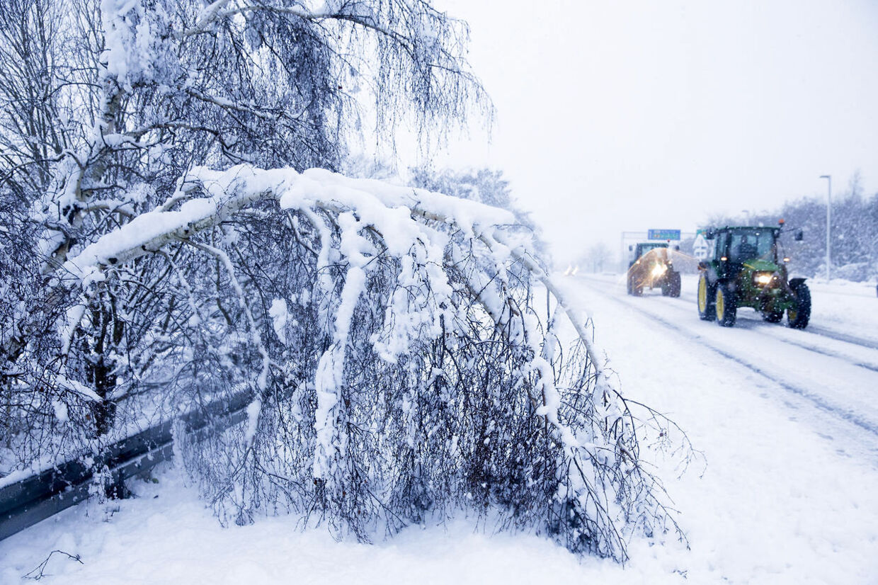 Vinterens første sne og slud har givet trafikken store problemer. Den tunge sne væltede træer ved Slangerupvej ved Farum.