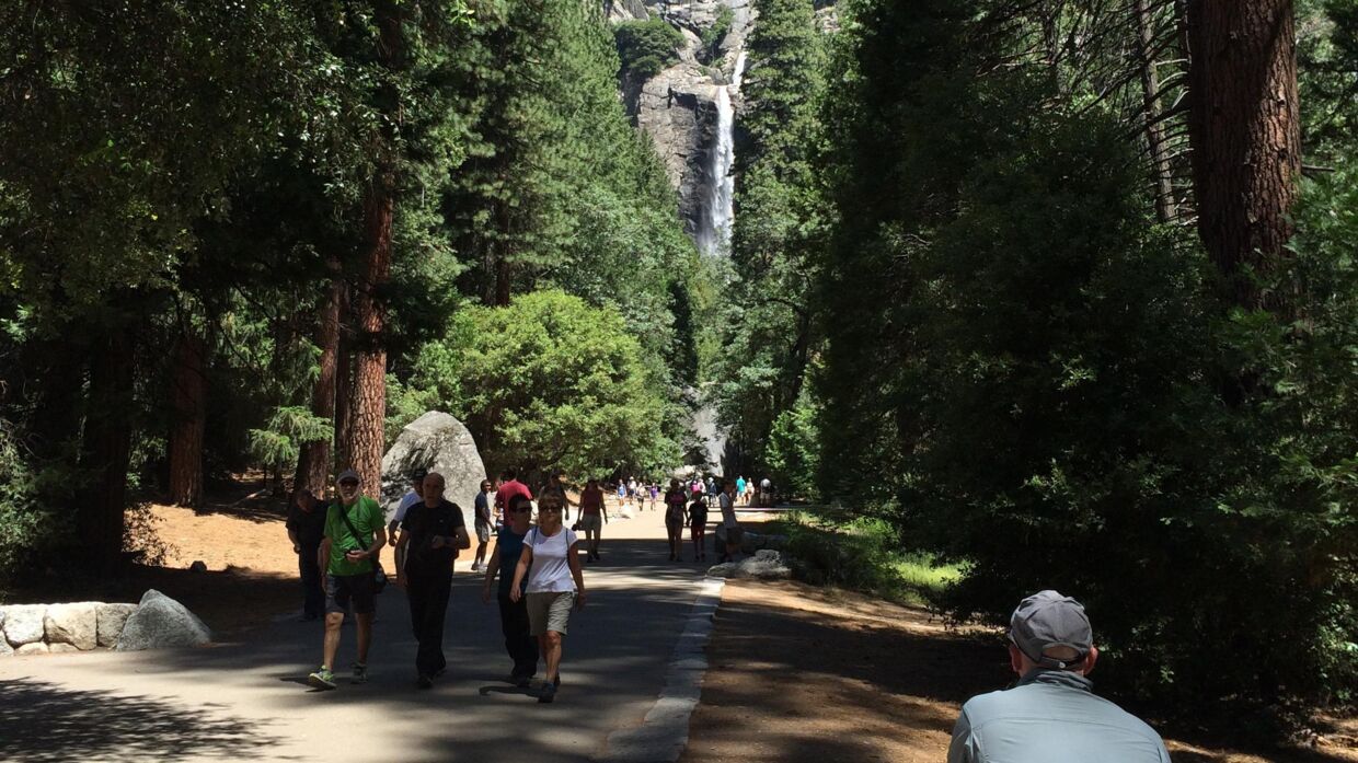 Flere steder i Yosemite National Park støder man på vandflad og søer.