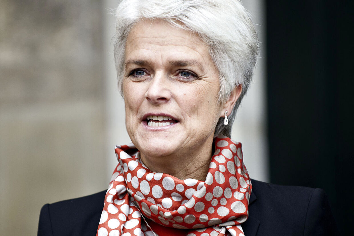 Social- og integrationsminster Annette Vilhelmsen har ikke længere Mahmoud Hamdan ansat som en af ministeriets rollemodeller.