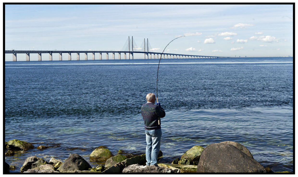 Øresundsbroen på en stille dag med lystfiskere i forgrunden der fisker ved udsigtspunktet Luftkastellet i Sverige (arkivfoto).