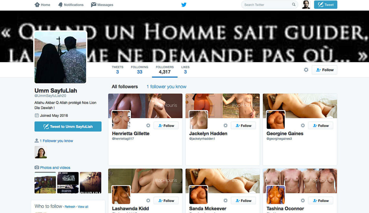 Aktivister spammer IS-sympatisørers Twitter-konti med pornobilleder for at tvinge dem til at lukke ned.