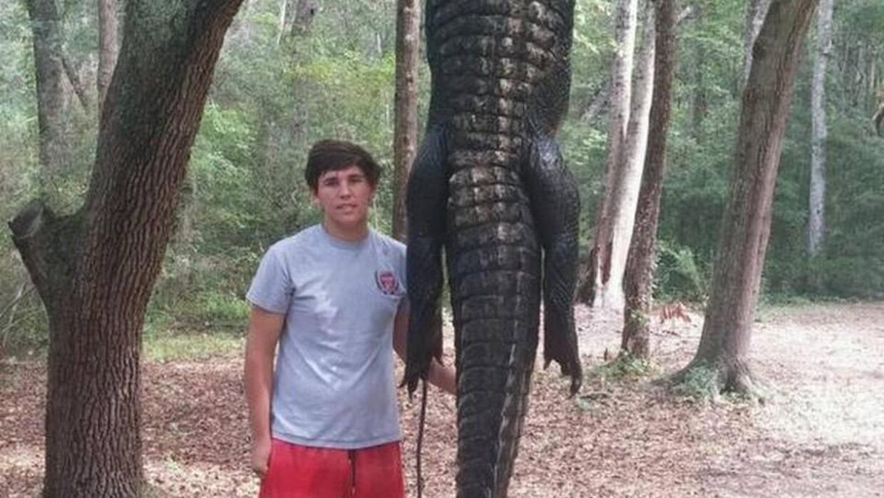Her ses 16-årige Gavin McDowell ved siden af den enorme alligator, som han hjalp sin far og resten af jagtholdet med at fange i Waccamaw River.