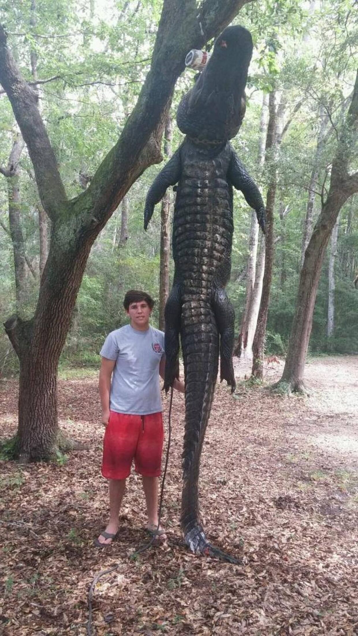 Her ses 16-årige Gavin McDowell ved siden af den enorme alligator, som han hjalp sin far og resten af jagtholdet med at fange i Waccamaw River.