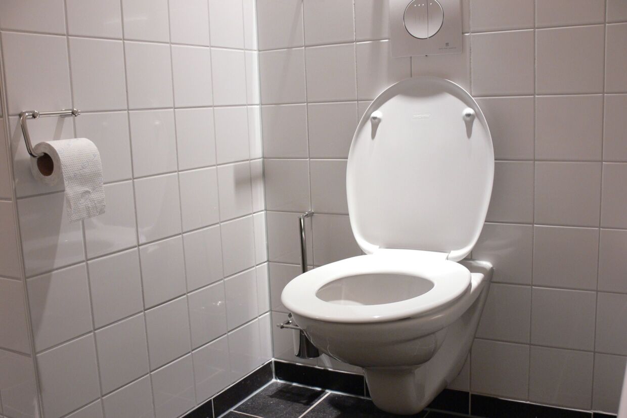 Der er især tre bakteriebomber på badeværelset: Håndklædet, vandhanen og knappen, der skyller toilettet ud. Free/Colourbox
