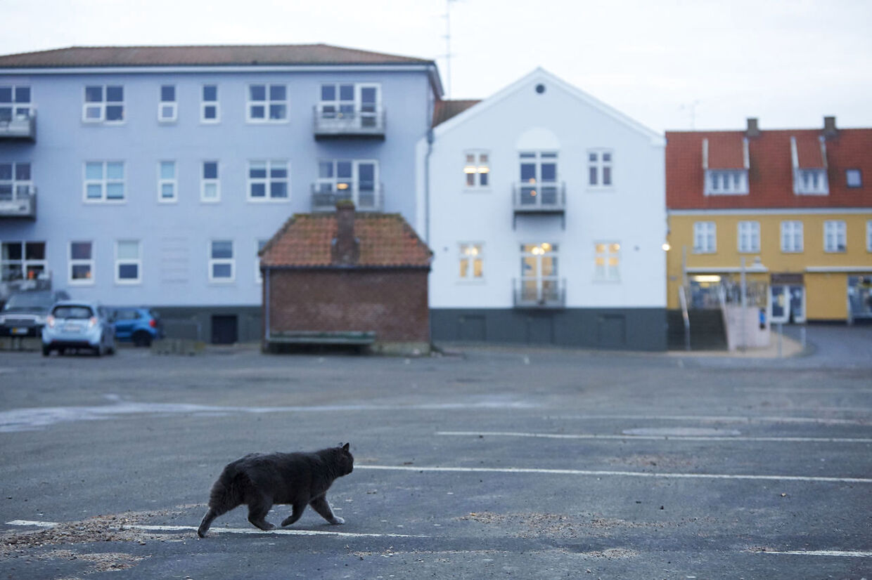 I et villakvarter i det nordlige Rønne er der i en årrække forsvundet et betydeligt antal katte. Mistanken blandt katteejerne er, at en mand der afskyr katte indfanger og afliver dem.