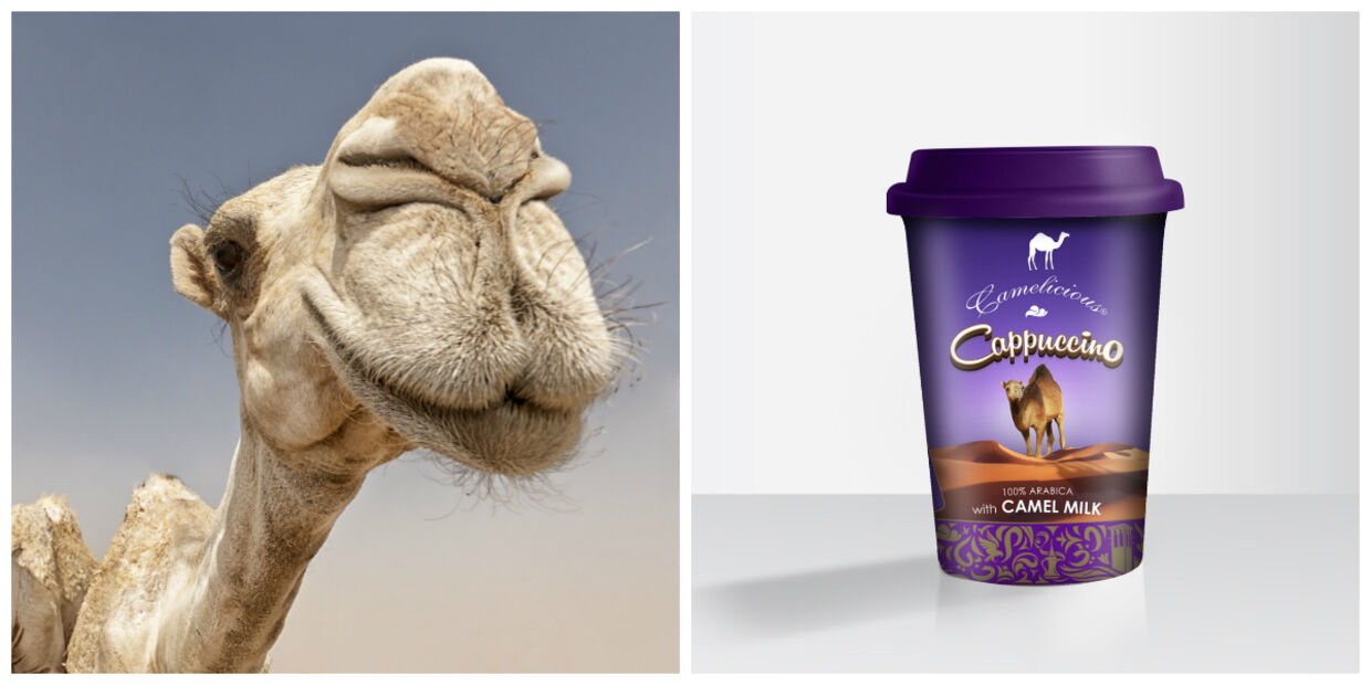 I uge 22 kan du købe iskaffe lavet på kamelmælk i alle Meny-supermarkeder.