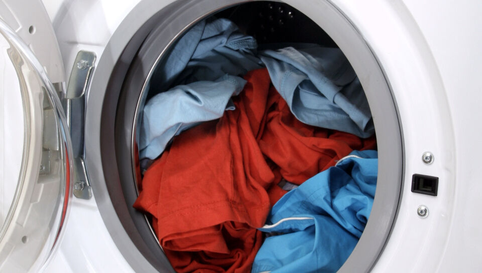 Forventer Tvunget smal Din vaskemaskine kan være en bakteriebombe: Her er fejlen, som mange begår  | BT Forbrug - www.bt.dk