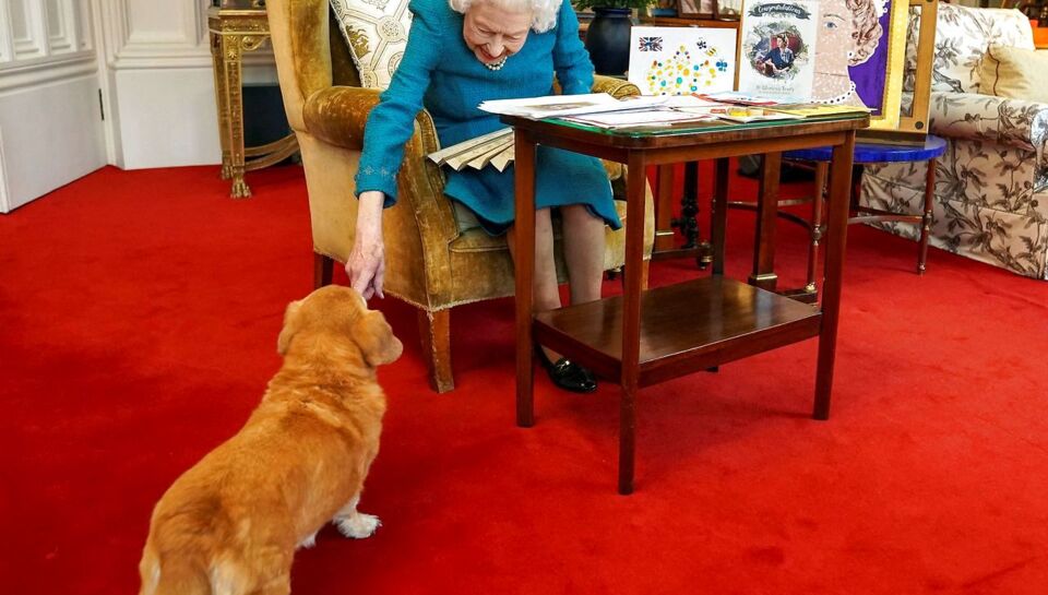 blød slank pakke Ét spørgsmål er ubesvaret – hvad sker der med dronning Elizabeths hunde? |  BT Dronning Elizabeth - www.bt.dk